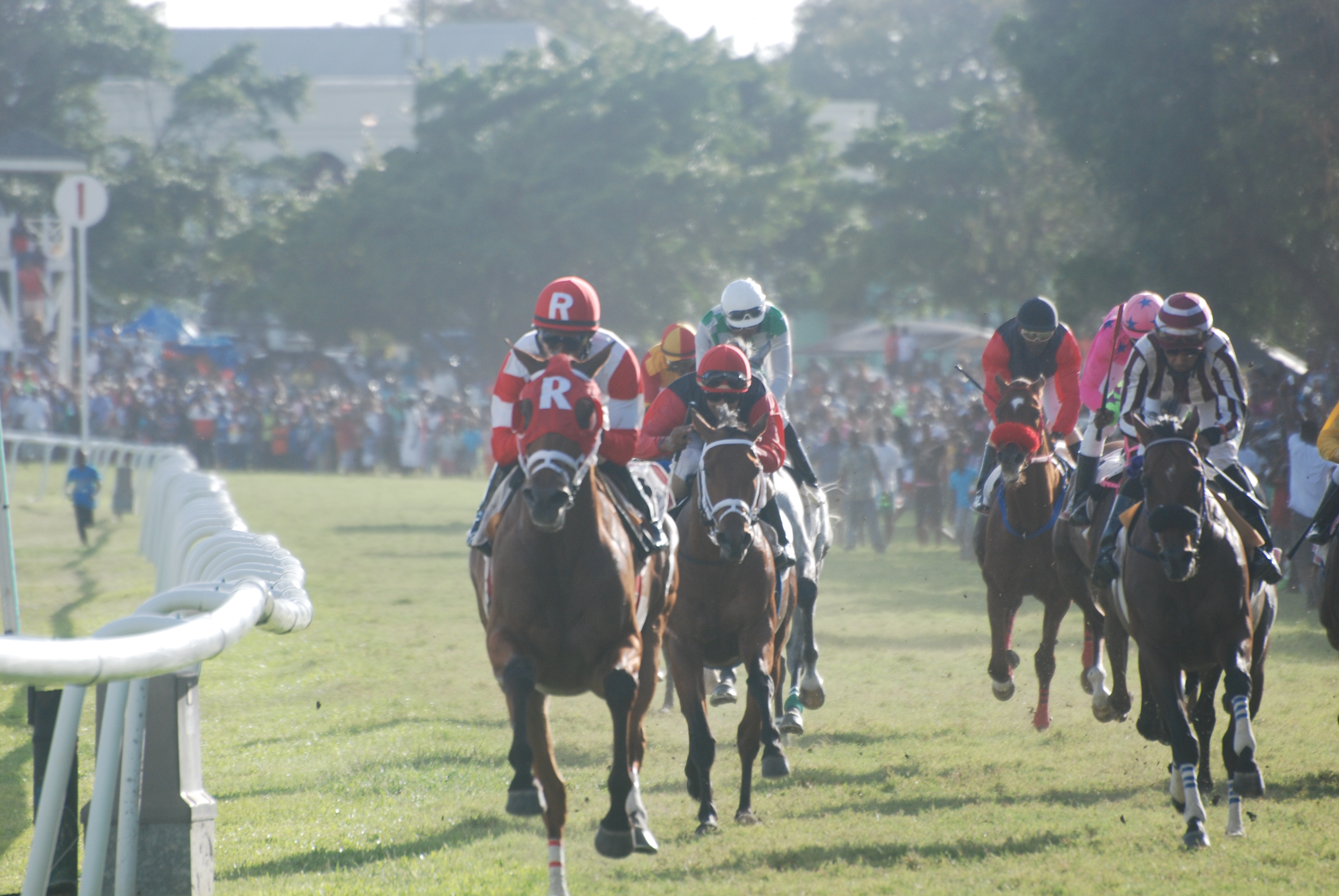Major Marvel wins Sandy Lane Gold Cup Horse Racing news from