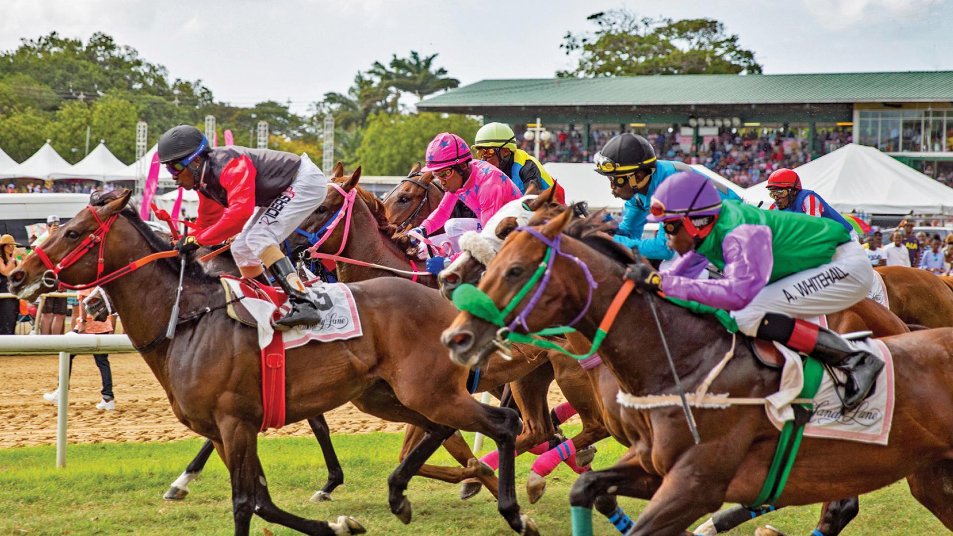 Sandy Lane Gold Cup 20200130 Featured Article Sporting Barbados